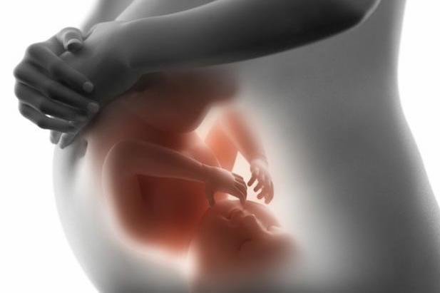 $!¿Para qué sirven las patadas y movimientos que hacen los bebés en el vientre?