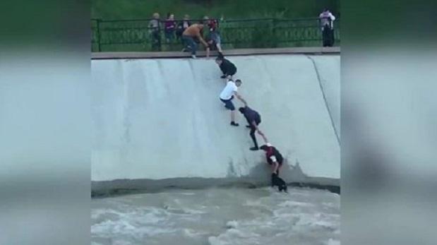 Jóvenes hacen una cadena humana para salvar a un perrito