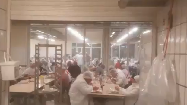 Así comían los operarios del matadero alemán donde se detectaron más de 750 positivos por Covid-19