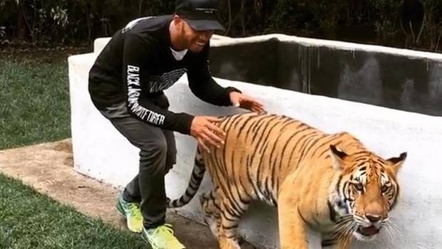 Piloto Lewis Hamilton asusta a tigre y sale ileso