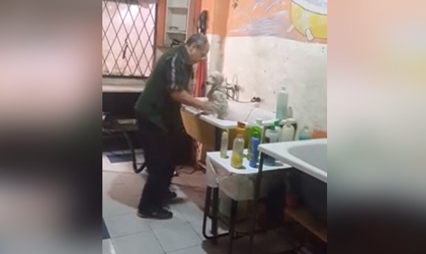 En Facebook arrasa el peluquero que baila para bañar a cachorro