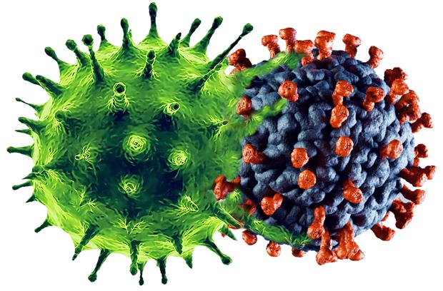 ¿Pueden la gripe y el coronavirus combinarse y formar un solo virus?