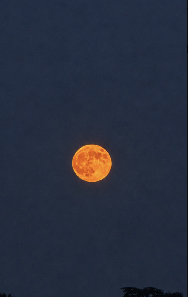 $!Luna del Ciervo.