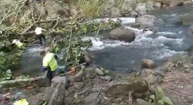 Mueren tres mujeres aplastadas por un árbol en Ecuador