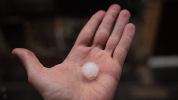 VIDEO: Bolas de hielo del tamaño de una nuez cayeron por un fuerte granizo en Valencia; hubo ciudadanos heridos