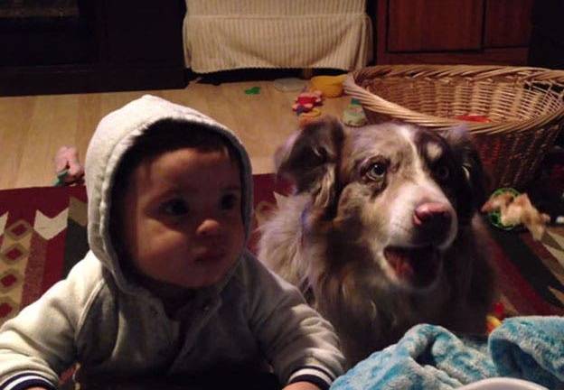 El perro que dice &quot;Mamá&quot; se vuelve viral en las redes