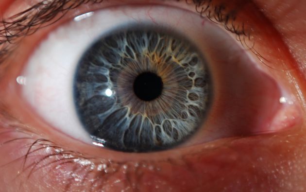 Científicos españoles descubren cómo se transmiten las imágenes de la retina al cerebro para ver en 3D