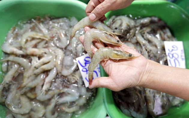 Ecuador cuestiona que COVID sobreviviera en camarón congelado enviado a China
