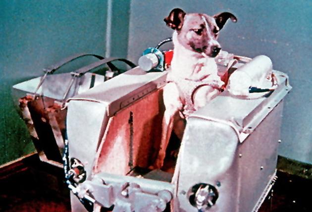 Hace 60 años, la URSS enviaba al espacio a la perra Laika