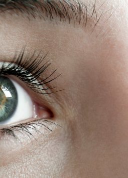 Algunas mujeres poseen un cuarto tipo de cono en sus ojos, lo que les permite ver hasta 100 millones de colores.