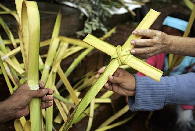 Ecuador advierte daño ambiental por uso de palma de cera en Domingo de Ramos