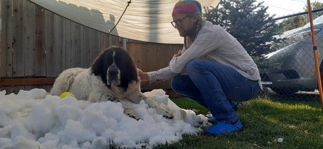$!La historia de Maggie: la perrita que disfrutó de la nieve antes de morir