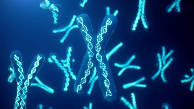 $!La alteración cromosómica de Olivia intriga en demasía a los científicos debido a que la ausencia del cromosoma 6 prevendría que vida se desarrollase. No obstante, la niña tiene una ausencia de este hasta cierto punto, sin verse afectada más allá por su incapacidad de sentir hambre, dolor y sueño.