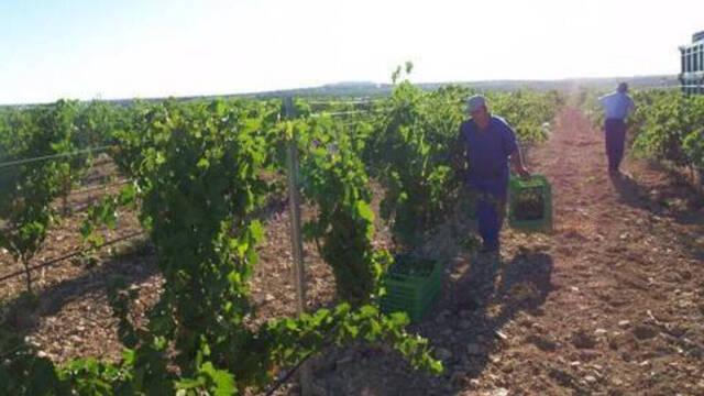 Empresa española deberá pagar millonaria sanción por fraude con trabajadores, en su mayoría ecuatorianos