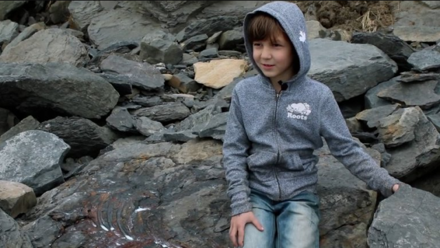 Un niño encontró un fósil de dinosaurio mientras jugaba en la playa
