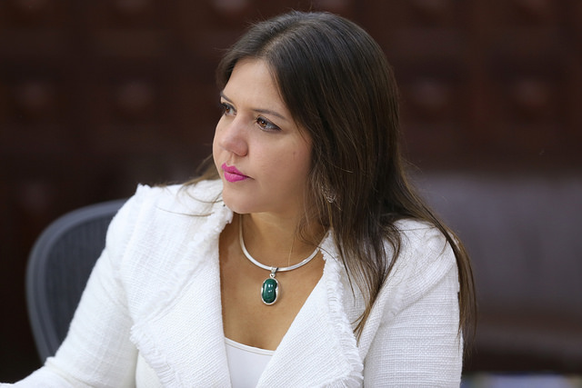 Vicuña: en Gobierno de Correa "campeaba la corrupción"