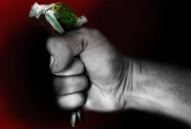 El triple caso de la familia Khachaturyan: violencia doméstica, tortura y asesinato