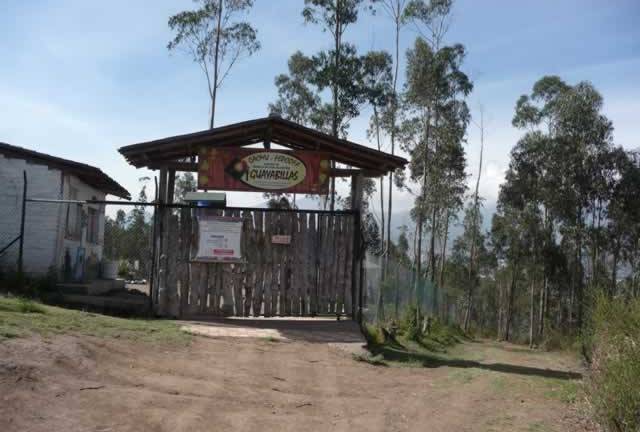 Centro de Rescate Animal Guayabillas cerrará sus puertas por falta de recursos económicos