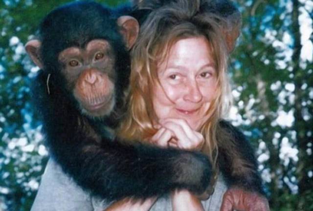 “¡Está matando a mi amiga!”: un primate le arrancó la cara a una mujer en Estados Unidos