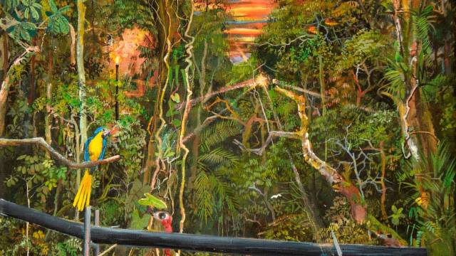 LOS ULTIMOS PUEBLOS AISLADOS DE LA AMAZONIA