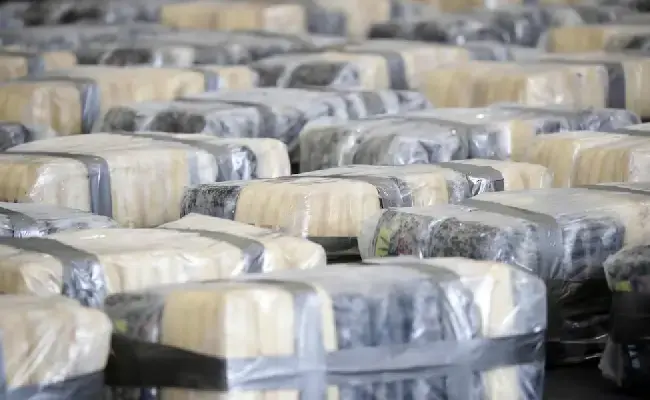 Guayaquil: decomisan 1,2 toneladas de cocaína ocultas en un contenedor de fruta con destino a España