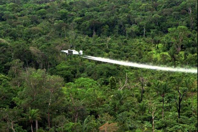 Procurador colombiano apoya reanudar fumigación con glifosato