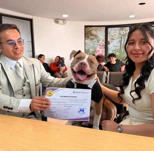 Bodas 'Pet Friendly' en Ecuador: Lucas, el perrito que fue 'testigo' de un matrimonio en Cuenca