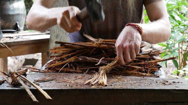 La ayahuasca, una esperanza para el párkinson y el alzheimer