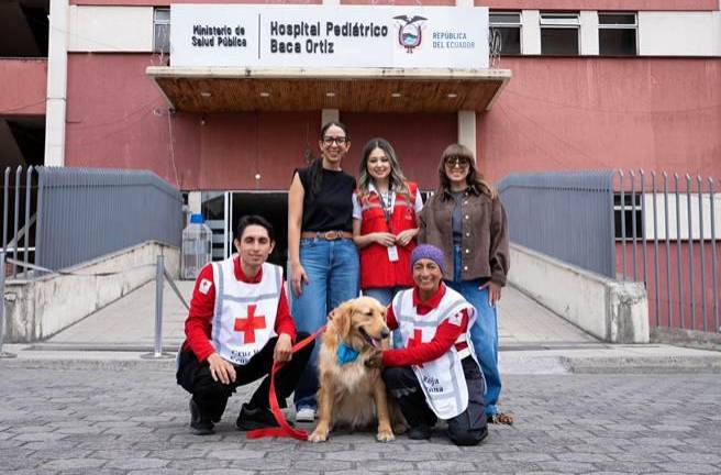 El impacto de los canes en la salud: perros de asistencia médica promueven el bienestar emocional en hospitales
