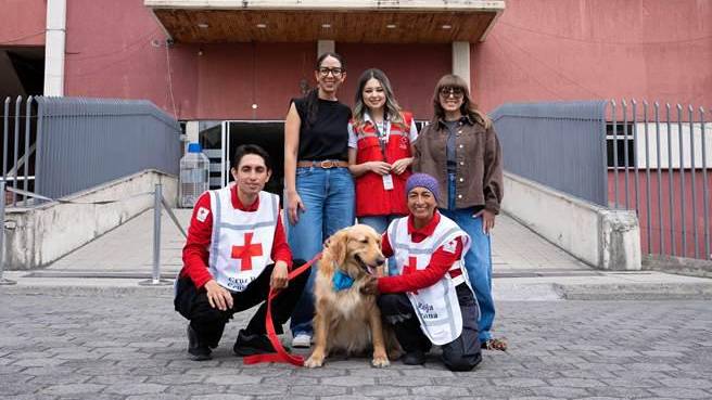 El impacto de los canes en la salud: perros de asistencia médica promueven el bienestar emocional en hospitales