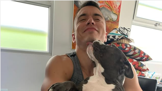 Daniel Noboa elimina IVA en los alimentos para mascotas: 'no son solo animales, son familia'