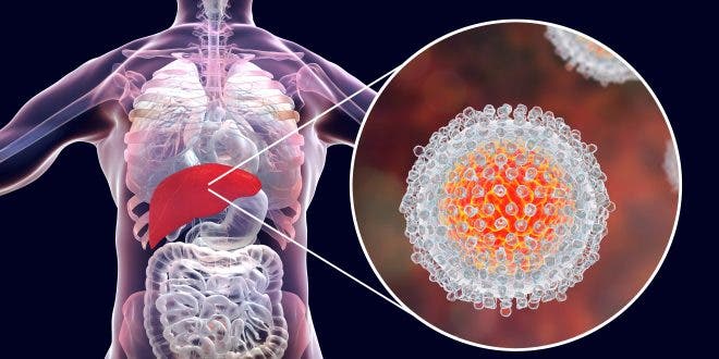 Nobel de Medicina premia el hallazgo del virus de la hepatitis C