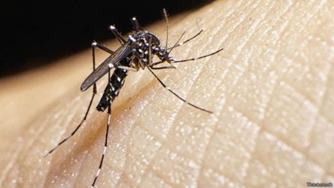 Brasil registró un récord de 1,59 millones de casos de dengue en 2015