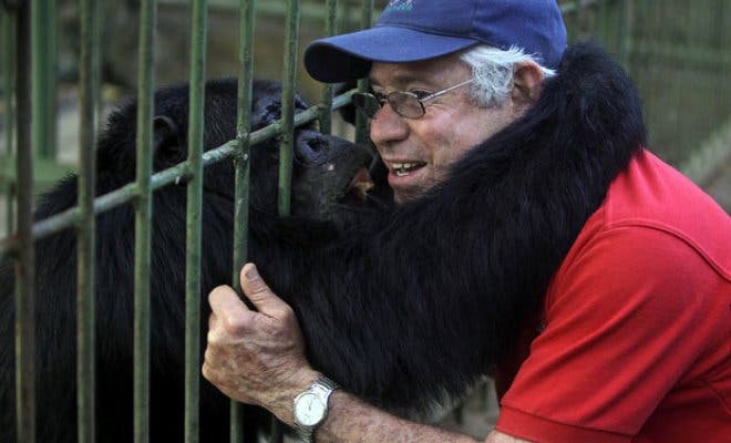 Chimpancé que &quot;reinó&quot; en el zoológico de Nicaragua sufre enfermedad mental