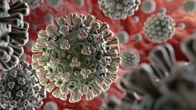 Científicos desarrollan un clon infectivo del coronavirus SARS-CoV-2