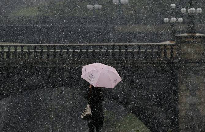 Cae sobre Tokio primera nevada en noviembre en más de 50 años