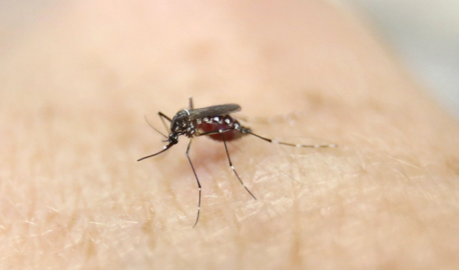 Sube a 857 el número de contagiados con Zika en Ecuador