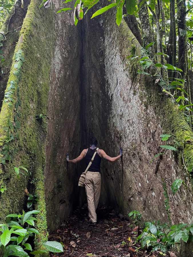 $!Mendes asegura que los pueblos originarios son “la clave” para proteger la naturaleza.