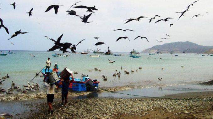 Un proyecto de reforma a la Ley de Pesca divide al sector en Ecuador