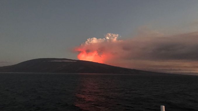 Leve incremento en actividad sísmica de volcán Fernandina, en Galápagos
