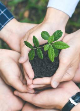 Iniciativa Darwin 2026: Cómo postular a los fondos del Reino Unido para proyectos ambientales en Ecuador