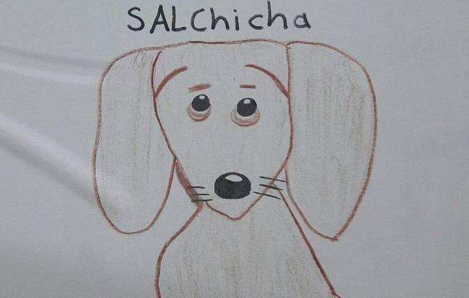 Niño busca a su perrita con un dibujo hecho por él