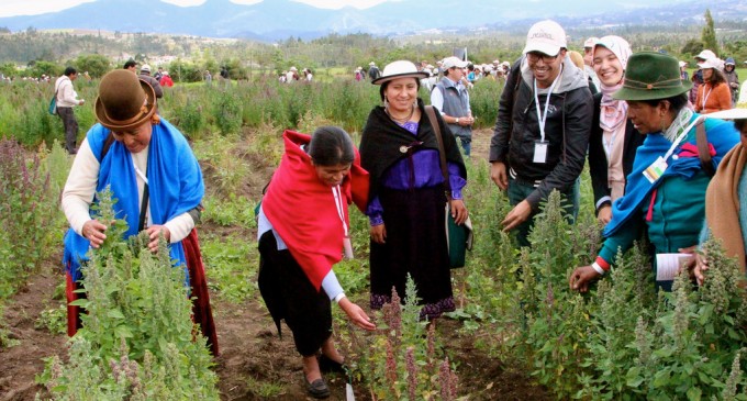 Quito será sede de un encuentro regional sobre agricultura y estadística