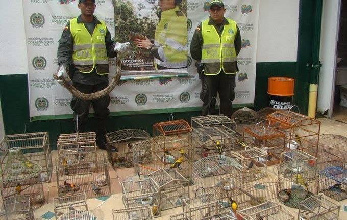 Desmantelan red que enviaba especies de Colombia a Ecuador