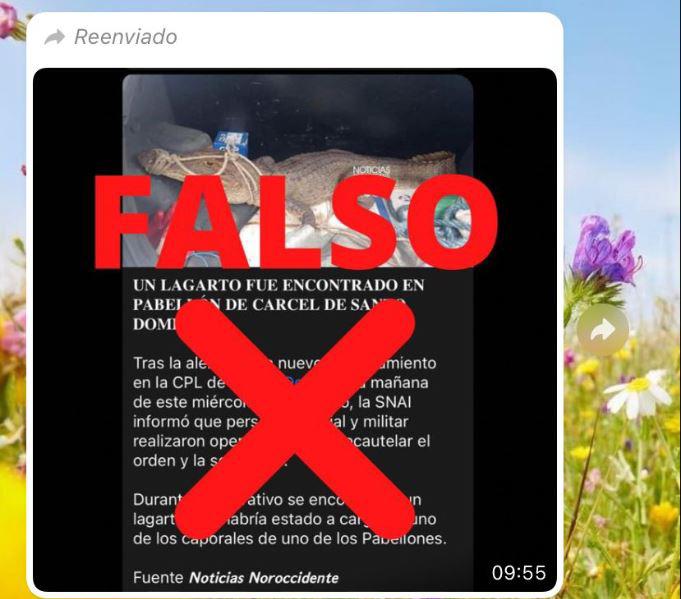 $!¿Lagarto fue hallado dentro de la cárcel de Santo Domingo?; SNAI lo desmiente