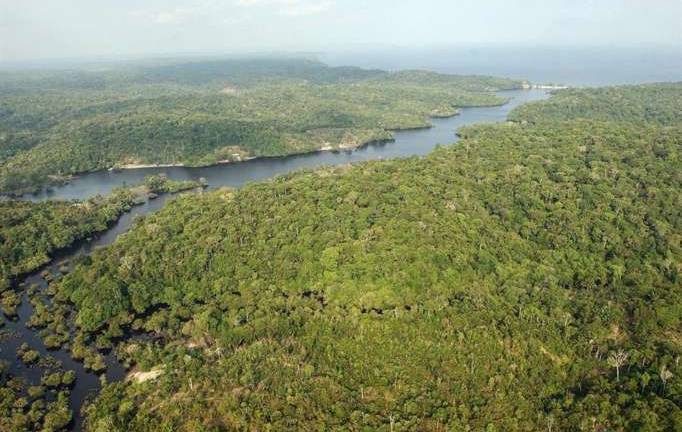 Ecuador se suma a iniciativa para preservar los recursos naturales de la Amazonía