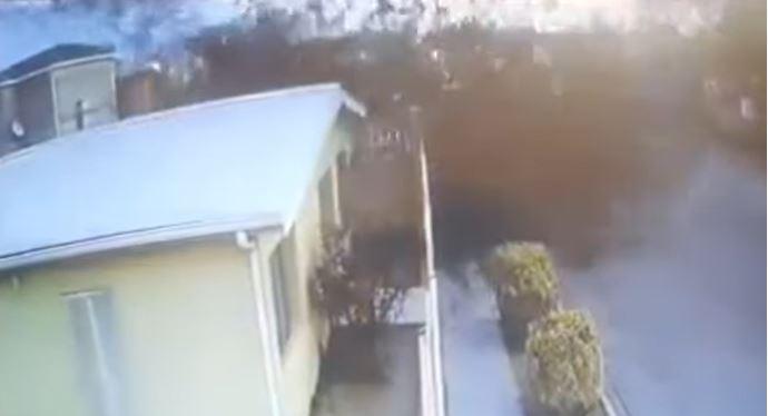 VÍDEO: Cientos de pájaros caen al suelo mientras volaban en Chihuahua, México. ¿Qué pudo haber causado el suceso?