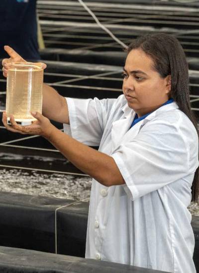 En las áreas técnicas y de laboratorio hay una participación creciente de las mujeres.