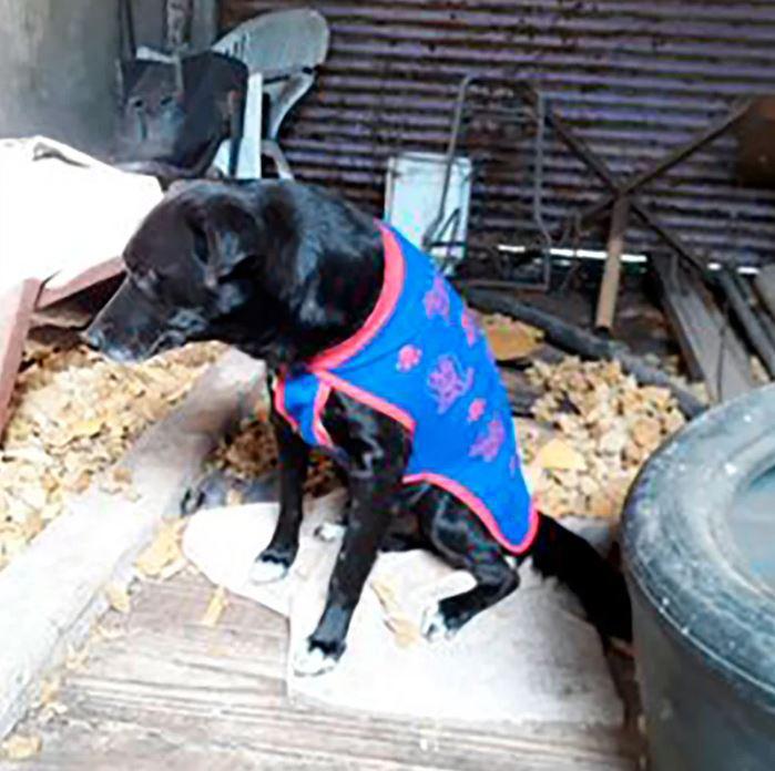 $!Negro tenía nueve años.