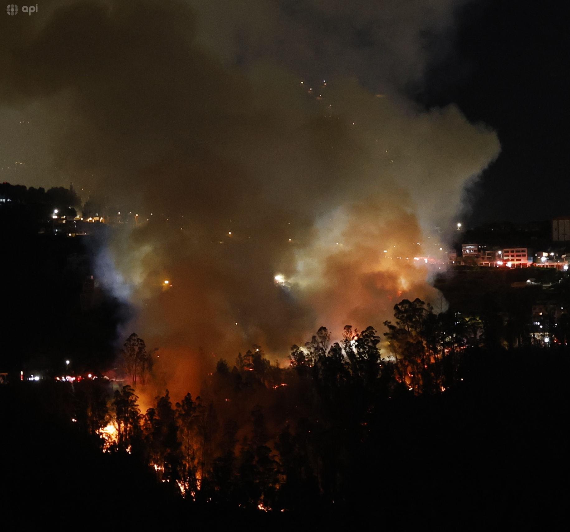 Dictan prisión preventiva para presunto responsable de incendio forestal en La Vicentina, Quito